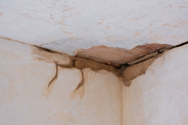 Trusted Montevallo, AL Water damage restoration Experts